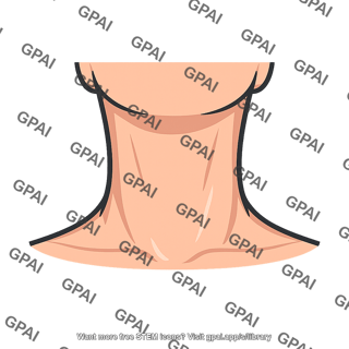 Neck