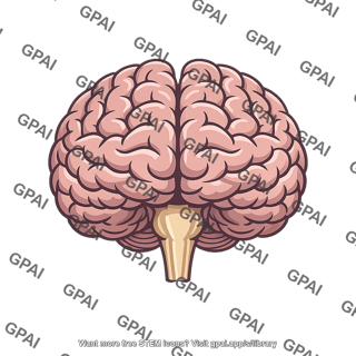 Brain fully developed