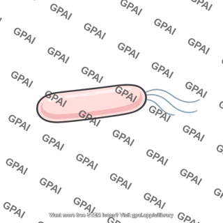 Rod shaped bacterium