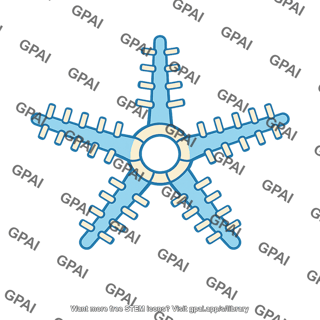 Echinoderm water vascular system