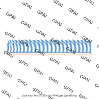 Cilium row