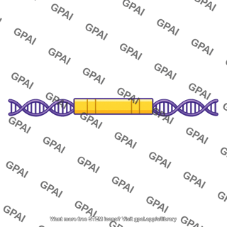 Albumin gene