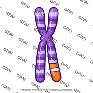 Chromosome 9 translocated