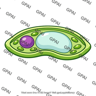 Guard cell