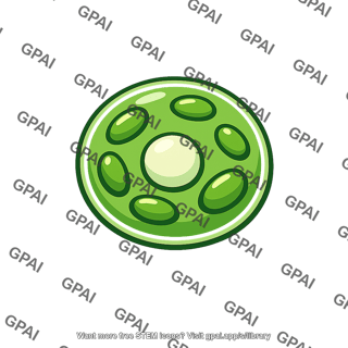 Algal cell