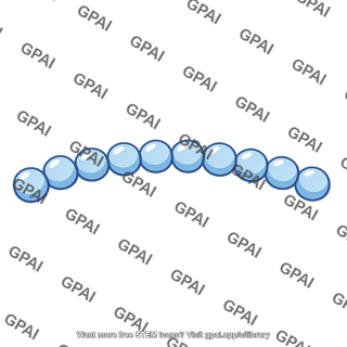 Coccus chain