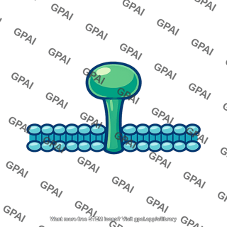 Surface protein receptor