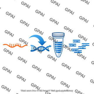 Rt pcr