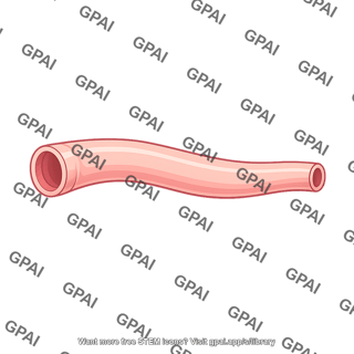 Digestive tract tubular segment