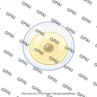 Fish egg