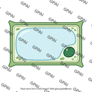 Plant cell
