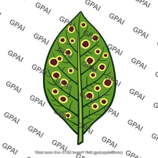 Tobacco leaf with hypersensitive response lesions
