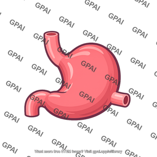 Vertebrate stomach