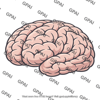 Forebrain mature folded
