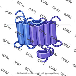 Gpcr