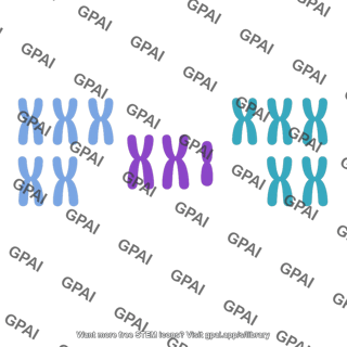 Chromosome aneuploid