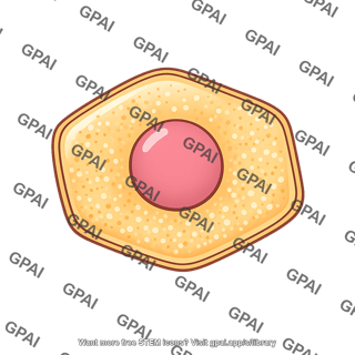 Leydig cell