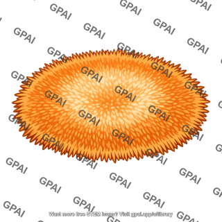 Neurospora colony