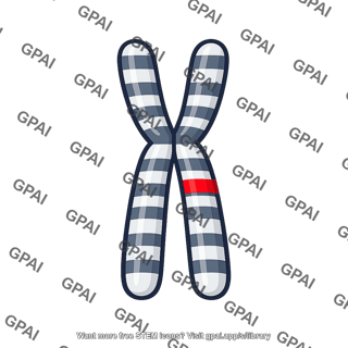Chromosome with marker band