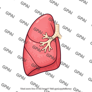 Single human lung