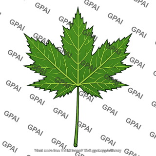 Green maple leaf