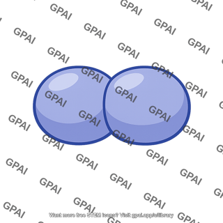 Streptococcus pneumoniae cell nonpathogenic