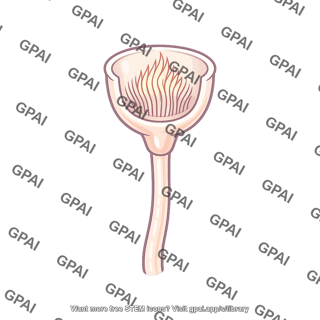 Flame bulb