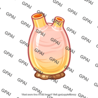 Urochordate