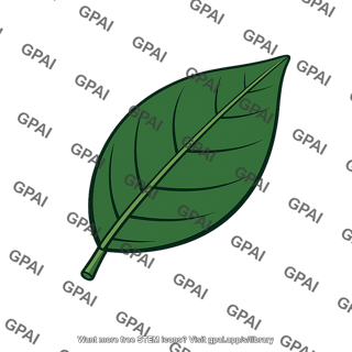 Orange tree leaf older