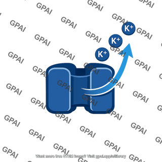 K pump