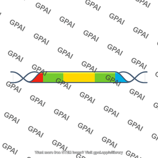 Transcription unit