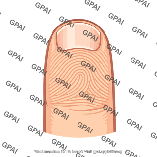 Fingertip