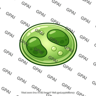 Alga unicellular
