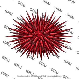 Red sea urchin