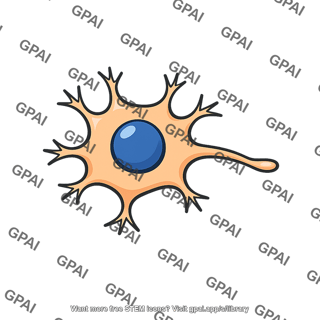 Neuron cell body