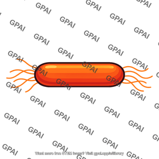 Rod shaped bacterium