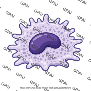 Macrophage activated