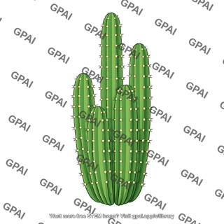 Cereus sp