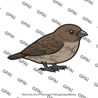 Medium ground finch small beak