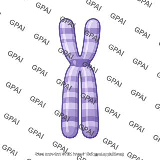 Chromosome 11