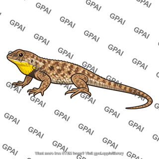 Common side blotched lizard male yellow throat
