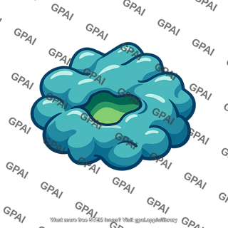 Enzyme 5