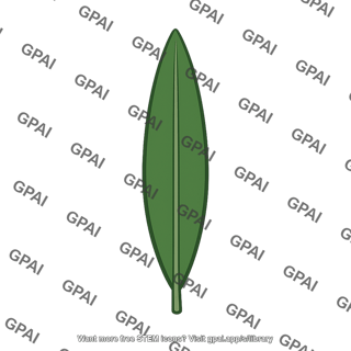 Microphyll leaf