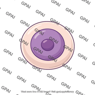 Germ cell
