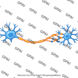 Neuron connected