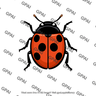 Ladybug