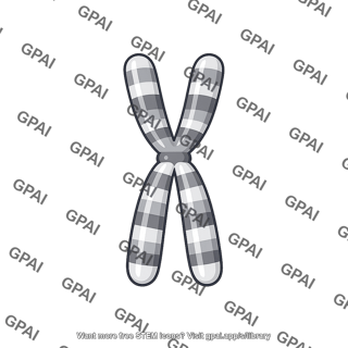 Chromosome