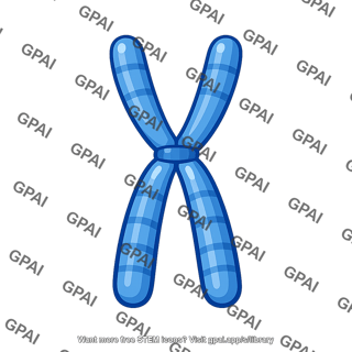Chromosome paternal