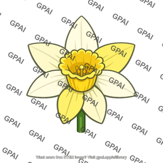 Daffodil flower