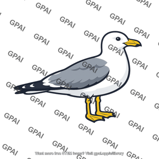 Gull